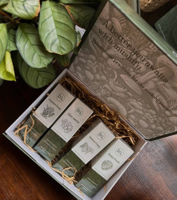 Set of skincare bars in a decorative box with a plant in the background