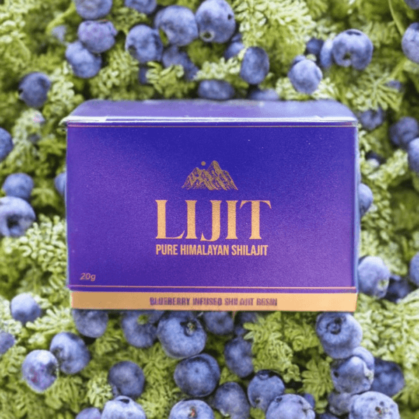 Lijit Blueberry-Infused Shilajit Resin surrounded by blueberries on a green background